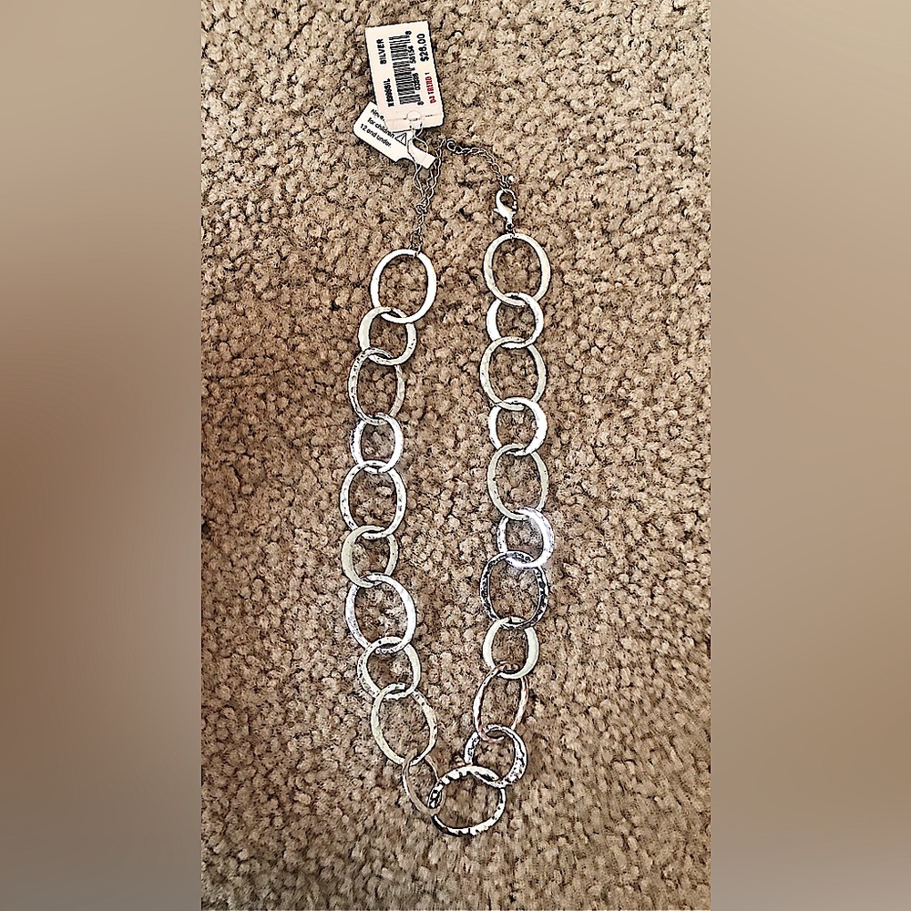 Beautiful Silver Necklace (costume)